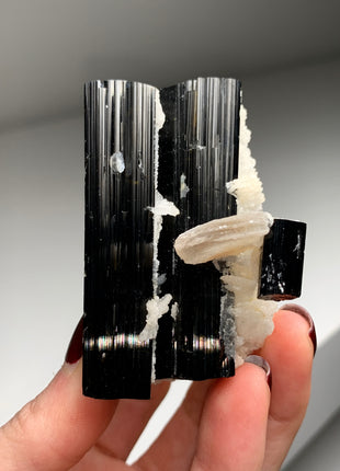 New Arrival ! Glassy Black Tourmaline with Snow Albite Flowers and Muscovite