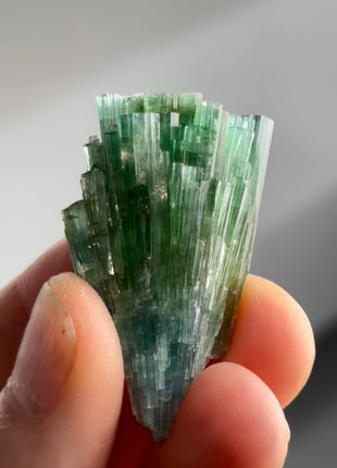 Blue Green Tourmaline Bunch PM1338