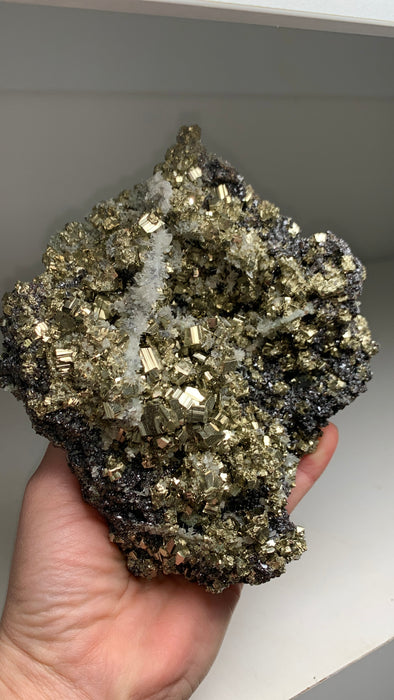 Lustrous Pyrite and Sphalerite with Quartz - From Rhodope Mountains, Bulgaria