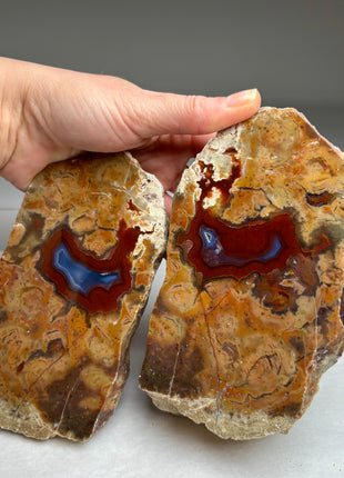 Rare ! Black Sea Agate Pair