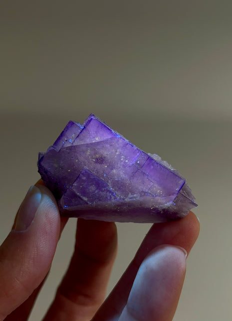 New Arrival ! Galaxy Fluorite