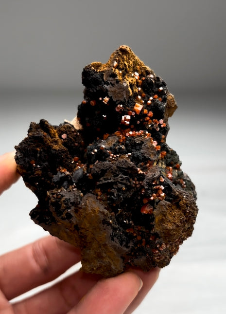 New Arrival ! Black Goethite with Red Vanadinite