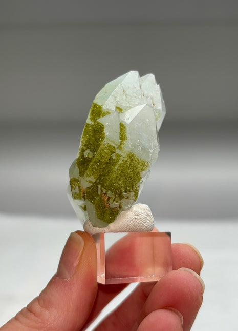 Rare ! Druzy Green Epidote with Quartz
