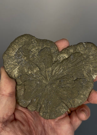 Pyrite Sun - From Sparta, Illinois