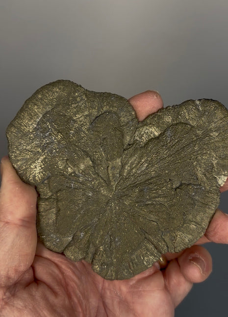 Pyrite Sun - From Sparta, Illinois