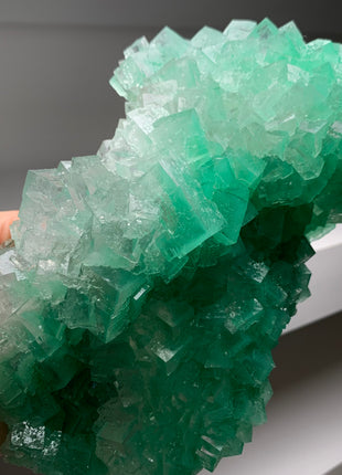 Amazing ! Green Cubic Halite - From Lubin mine, Poland