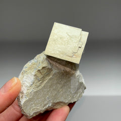Collection image for: Cubic Pyrite