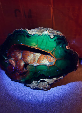 Red Fox Agate Geode from Argentina