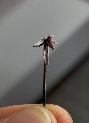 Red Rutile Starburst from Diamantina mine, 1990s find PM0860