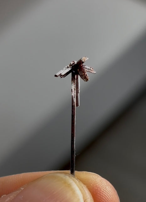 Red Rutile Starburst from Diamantina mine, 1990s find PM0860