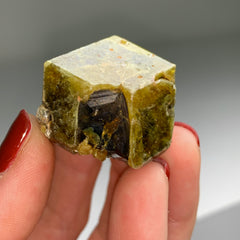 Collection image for: Andradite Garnet from Mali