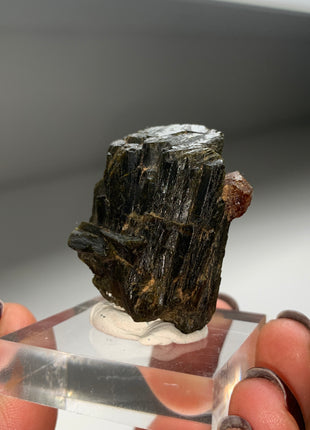 New Arrival ! Red Garnet var. Andradite with Glossy Epidote - From Mali