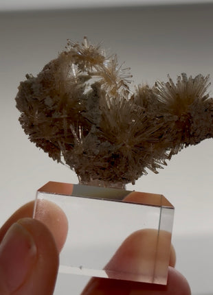 Bursting Sun Aragonite Collection # 825