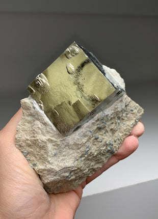 New ! Cubic Pyrite on Matrix from Navajun, Spain