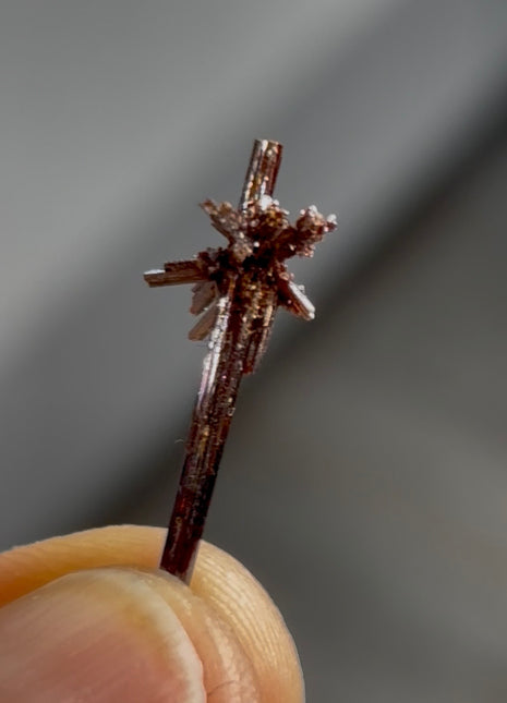 Red Rutile Starburst from Diamantina mine, 1990s find PM0861