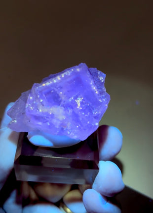 New Arrival ! Galaxy Fluorite