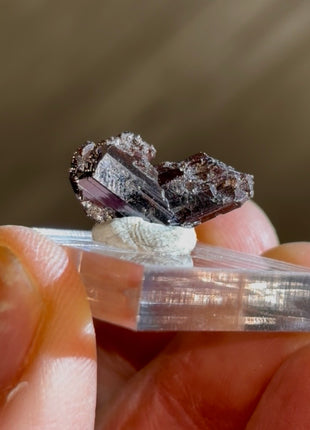 Red Rutile from Diamantina mine, 1990s find