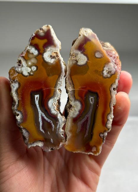 Wow ! Black Sea Agate Pair