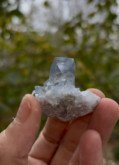 Sky Blue Celestite 💎