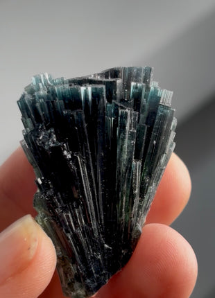 Blue Tourmaline Bunch PM1345