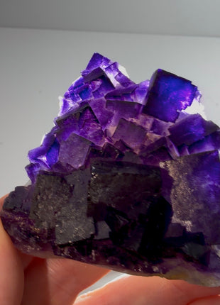 Incredible Color ! Fluorite from Turkey PM0895