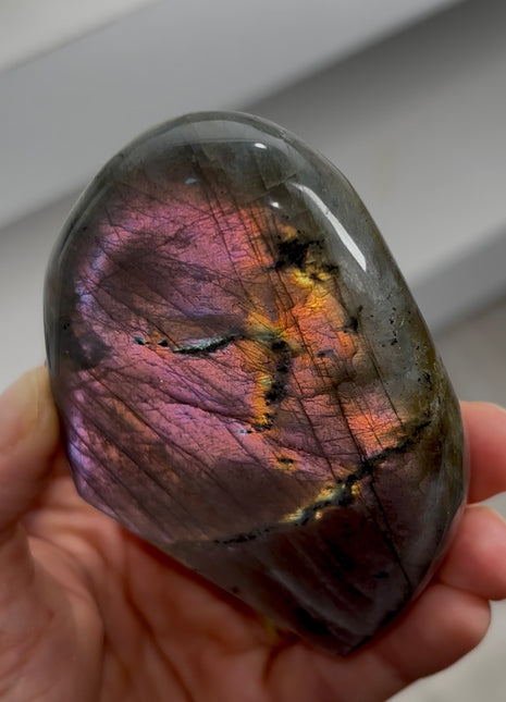 Incredibly Colorful Labradorite PM0557