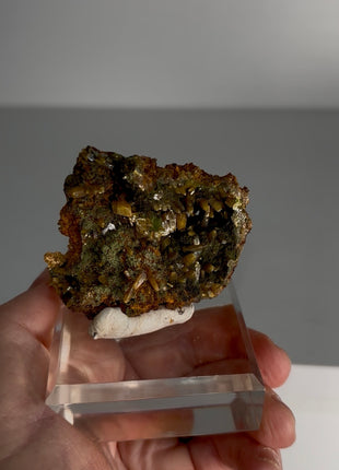 Wulfenite with Mimetite Specimen