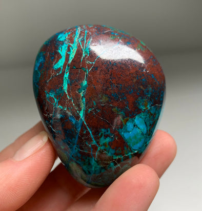 Bright Blue Chrysocolla with Red Cuprite and Green Malachite