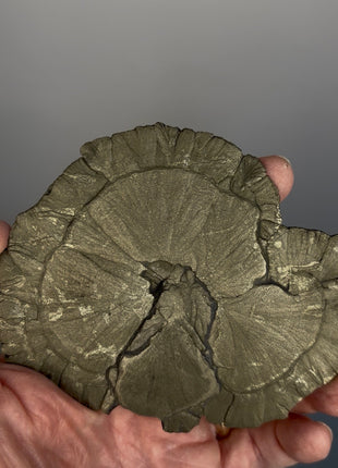 Pyrite Sun - From Sparta, Illinois