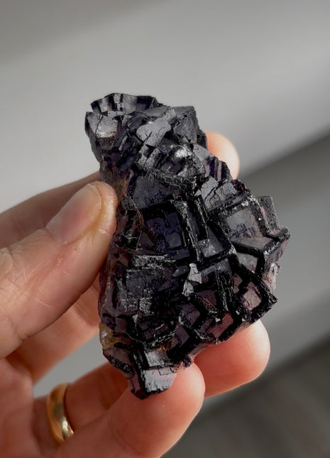 “Picture Frame” Fluorite PM0346