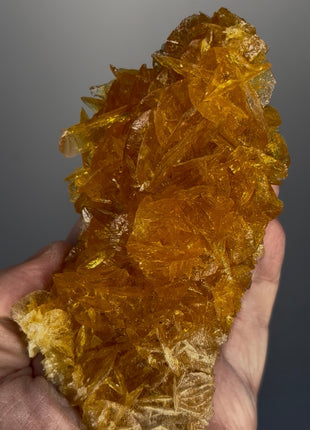 Deep Honey Color ! Selenite from Peru