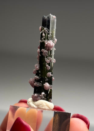 New ! Green Tourmaline with Lepidolite