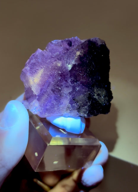 New Arrival ! Galaxy Fluorite