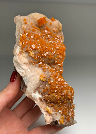 Rare Wulfenite from Los Lamentos, Mexico - Collection # 071