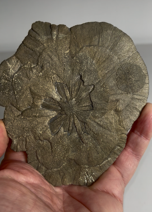 Pyrite Sun - From Sparta, Illinois