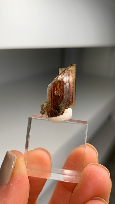 Rare and Amazing ! Red Brookite with Green Chlorite Quartz