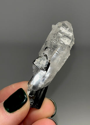 Black Tourmaline with Quartz