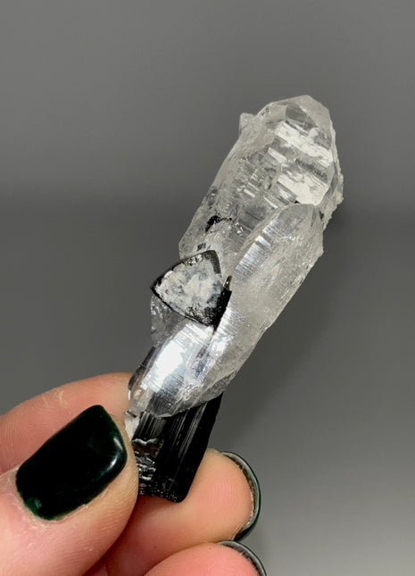 Black Tourmaline with Quartz