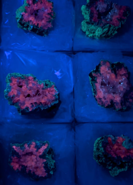 6 Pieces ! Watermelon Calcite Geode Lot