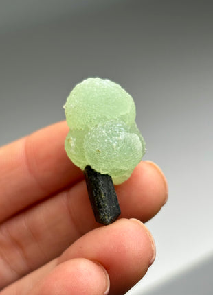 18 Pieces ! High Grade Apple Green Prehnite with Epidote Lot - From Mali