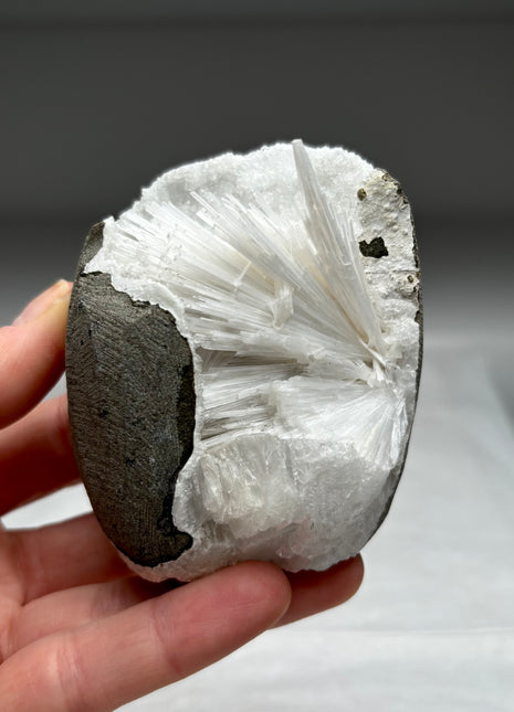 Scolecite Flower Geode with Druzy Quartz