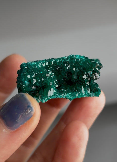 Green Dioptase Specimen PM1634