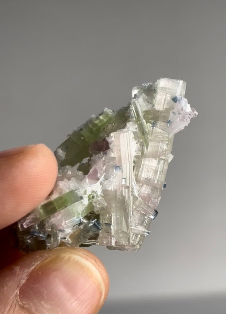 Blue Tip Tourmaline PM0669