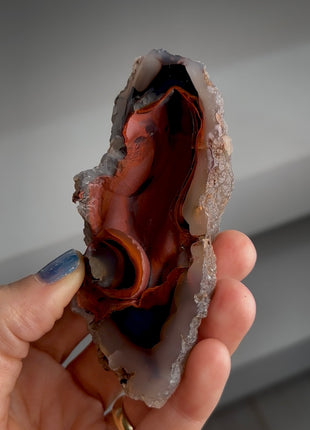 Red Fox Agate Geode from Argentina PM1540