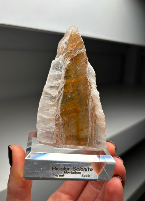 Icy Golden Selenite from Spain