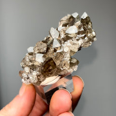 Collection image for: Alpine Smoky Quartz