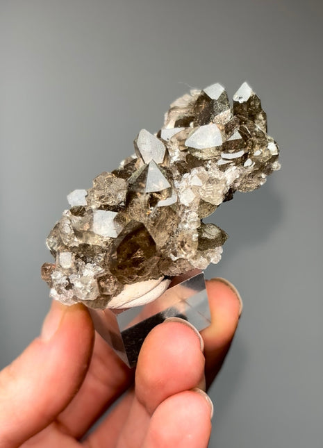 New ! Alpine Smoky Quartz