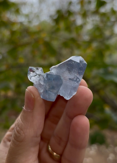 Sky Blue Celestite 💎