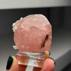 Collection image for: Morganite