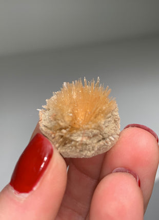 New Arrival ! Bursting Sun Aragonite Ball - From Pantoja, Spain